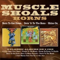 Muscle Shoals Horns - Born To Get Down / Doin It To The Bone / Shine - Music CD