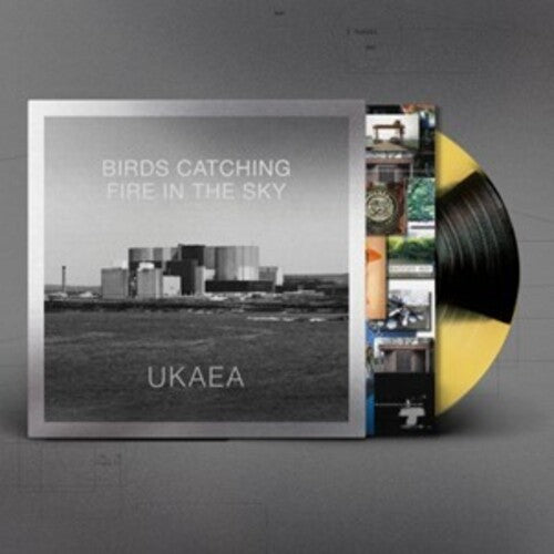 Ukaea - Birds Catching Fire In The Sky - Vinyl Record