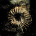 Sinke Dus - Modus Vivendi - Music CD