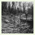 Topographies - Interior Spring - Vinyl Record