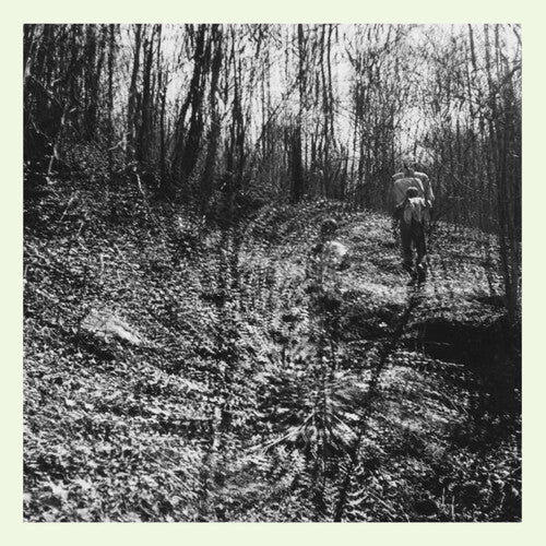 Topographies - Interior Spring - Vinyl Record
