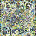 Big Garden - To The Rind - Vinyl Record