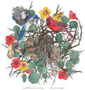 Bird Songs [LP] Vinyl Record
