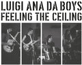 Luigi Ana Da Boys - Feeling The Ceiling - Vinyl Record