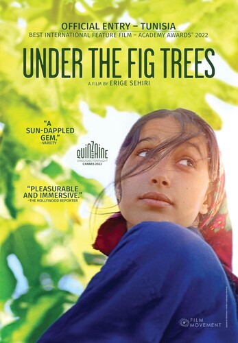 Under The Fig Trees - Under The Fig Trees - DVD