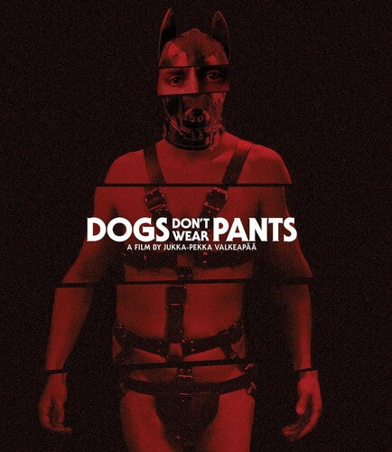 Dogs Don't Wear Pants - Dogs Don't Wear Pants - Blu-ray