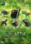 Big Little Journeys - Big Little Journeys - DVD