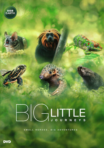 Big Little Journeys - Big Little Journeys - DVD