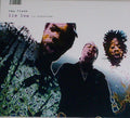 New Flesh - Lie Low (x2) - Vinyl Record