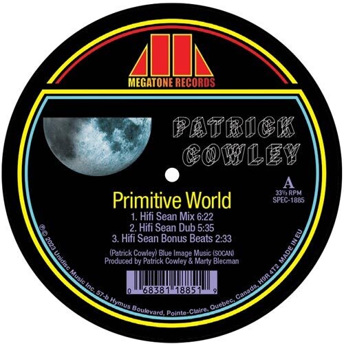 Cowley,patrick - Primitive World (hifi Sean Remixes) - Vinyl Record