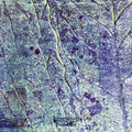 Procul His [LP] Vinyl Record