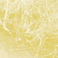 Celer - Cursory Asperses - Music CD