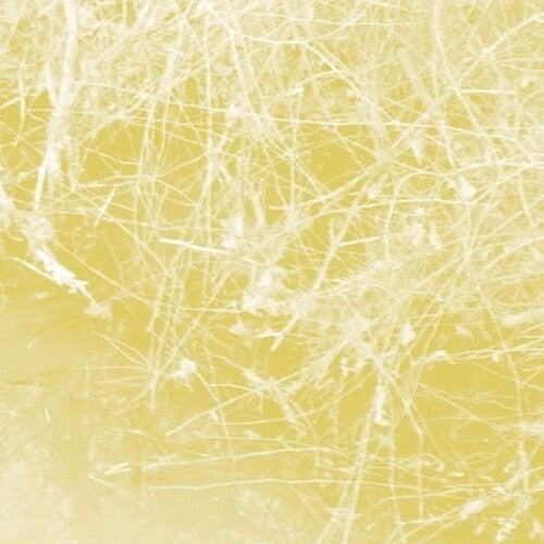 Celer - Cursory Asperses - Music CD