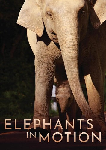 Elephants In Motion - Elephants In Motion - DVD