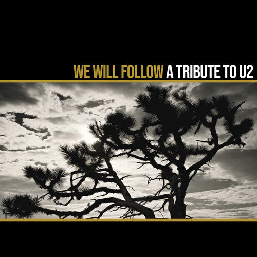 We Will Follow: A Tribute To U2 / Various - We Will Follow: A Tribute To U2 / Various - Vinyl Record
