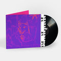 Dehd - Poetry - Vinyl Record