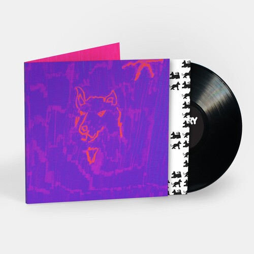 Dehd - Poetry - Vinyl Record