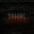Magic Tuber Stringband - Needlefall - Vinyl Record