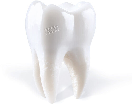 Porij - Teething - Music CD