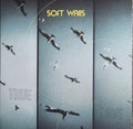 Soft Walls - True Love - Vinyl Record