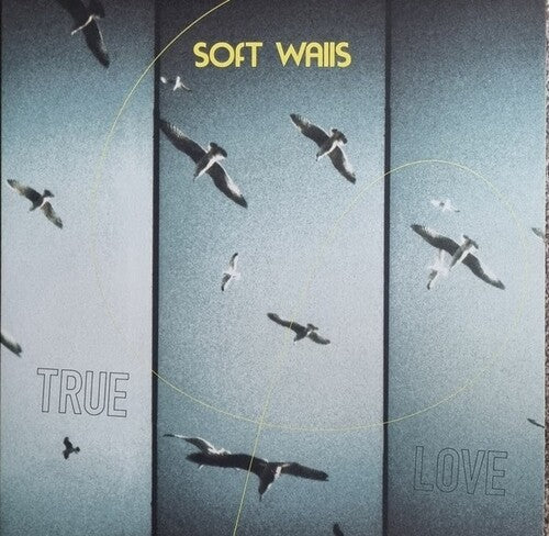 Soft Walls - True Love - Vinyl Record