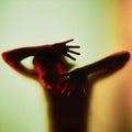 Filmmaker - Hollywood Cult - Vinyl Record