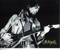 John Mayall Signed 8x10 Photo PSA Autographed