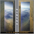Scenic - Acid Gospel Experience [Clear Vinyl] (Grn) [Record Store Day]