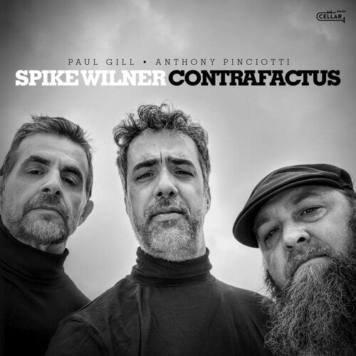 Wilner,spike Trio - Contrafactus - Music CD