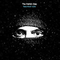Darien Gap - Haunted Lots - Vinyl Record