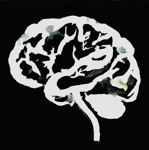 Ruins - Brain Flakes (lost Combo Tapes) - Vinyl Record