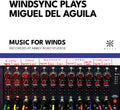 Del Aguila / Windsync - Windsync Plays Miguel Del Aguila - Music CD