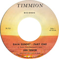 Tenor,jimi & Cold Diamond & Mink - Gaia Sunset - Vinyl Record