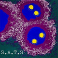 S.a.t.s - S.a.t.s - Music CD