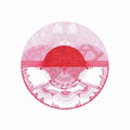 N&p - Wakusei / Mr. Joy - Vinyl Record