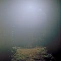 Sasakubo,shin - Venus Penguin - Vinyl Record