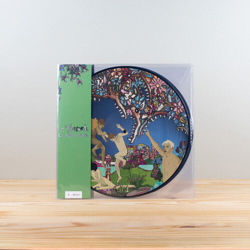 Of Montreal - Skeletal Lamping - Vinyl Record