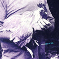 Nourished By Time - Catching Chickens - Vinyl Record