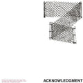 Trecka,mark - Acknowledgement - Vinyl Record