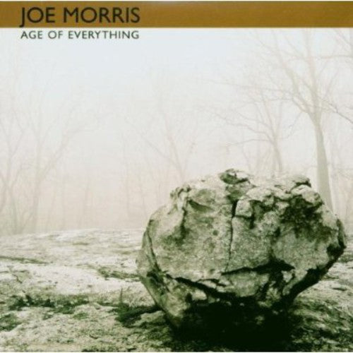 Morris,joe - Age Of Everything - Music CD