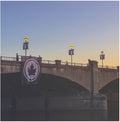 Early November - Fifteen Years [LP]