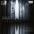 Part / Piquero / Orquesta De Extremadura - Lamentate (biovinyl) - Vinyl Record