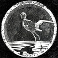 Black Flamingo - An-nur - Vinyl Record
