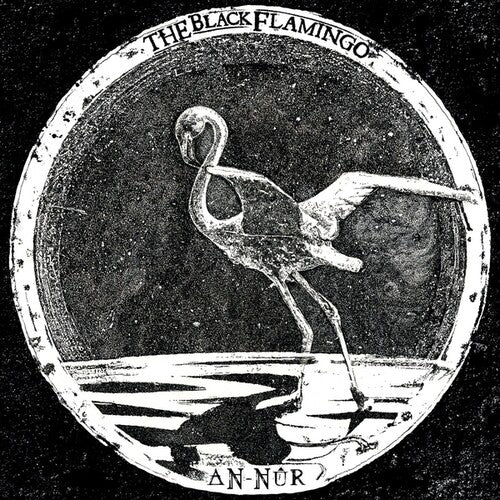Black Flamingo - An-nur - Vinyl Record