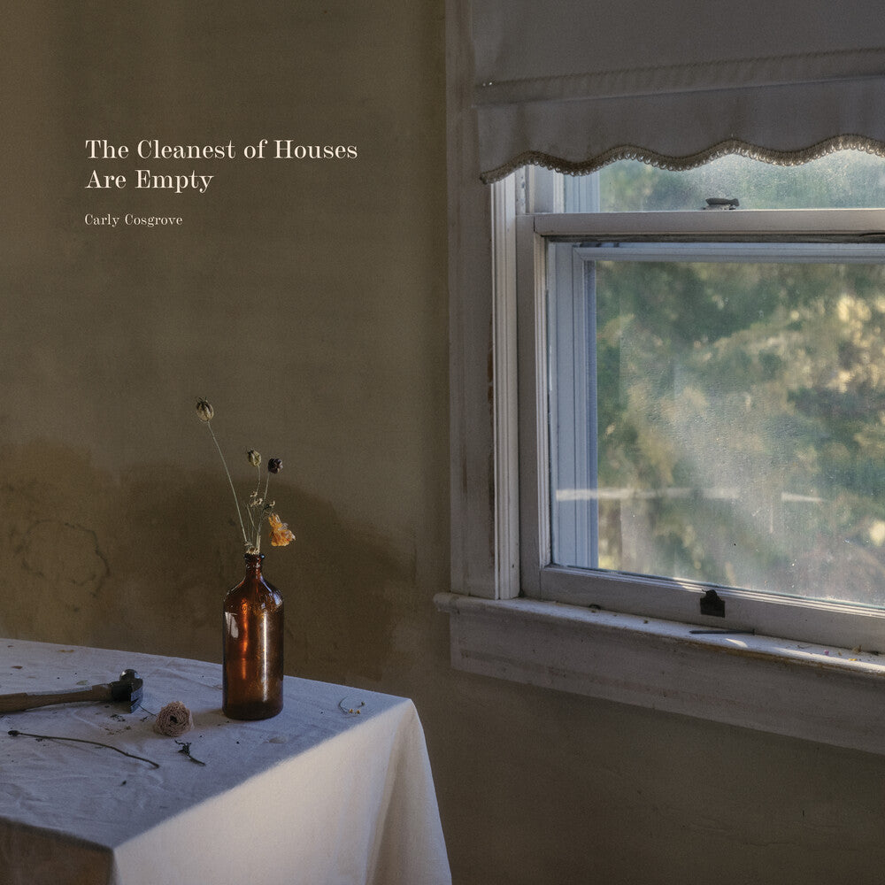 Cleanest Of Houses Are Empty [Colored Vinyl] Vinyl Record