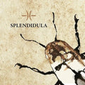 Splendidula - Splendidula - Music CD