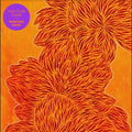Nubiyan Twist - Find Your Flame - Vinyl Record