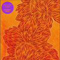 Nubiyan Twist - Find Your Flame - Music CD