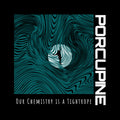 Porcupine - Our Chemistry Is A Tightrope - Vinyl Record