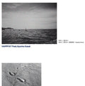Happfat - Natsu Wo Aruku / Natsu Wo Aruku - Vinyl Record